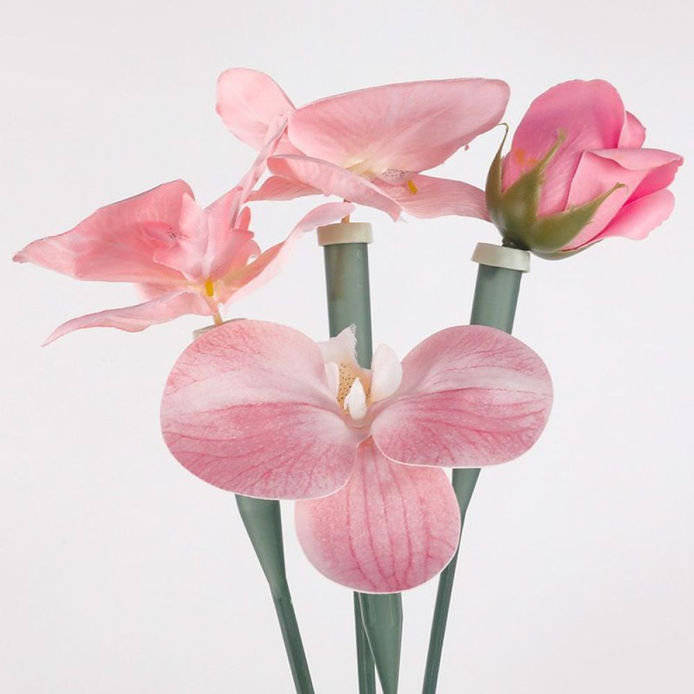Florist Supply Shop - Tubes de conservation florale, flacons en