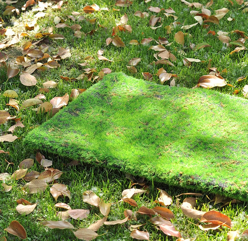 Mousse Artificielle, Fausses P - Preserved Moss Sheet avis et prix
