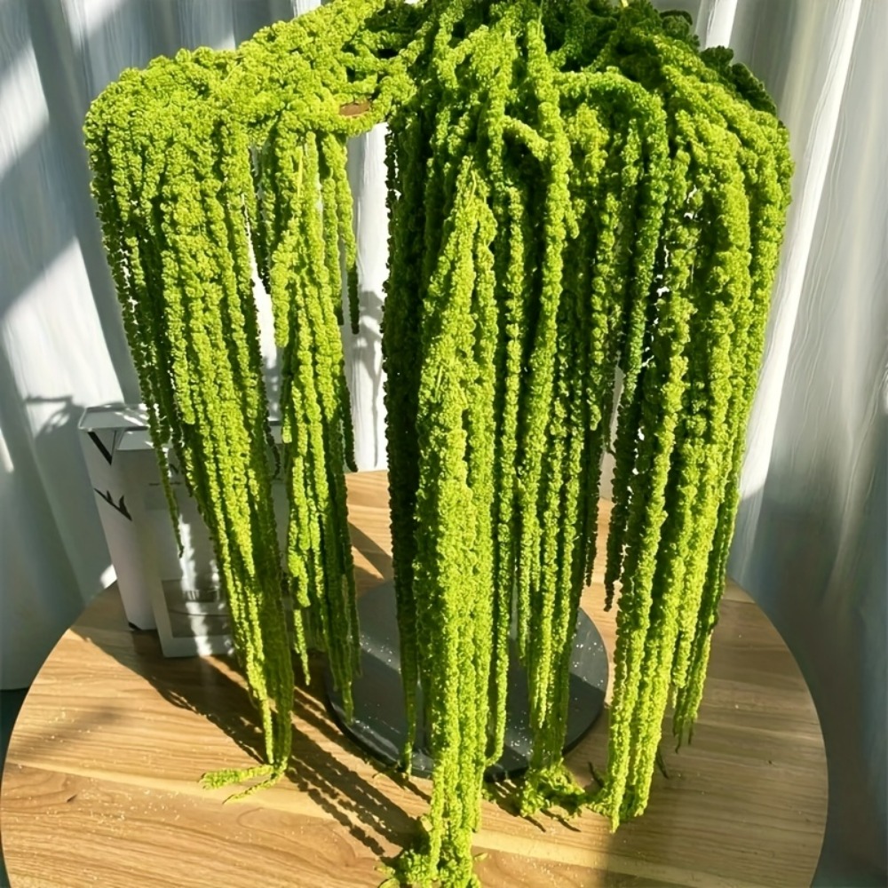 Lot de 4 fleurs artificielles  - Preserved Moss Sheet avis et prix