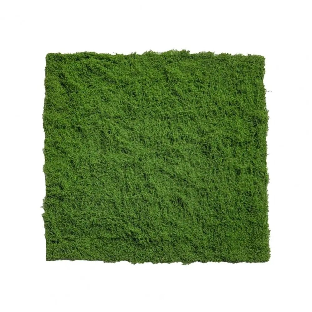 Tapis de gazon artificiel DIY  - Preserved Moss Sheet avis et prix