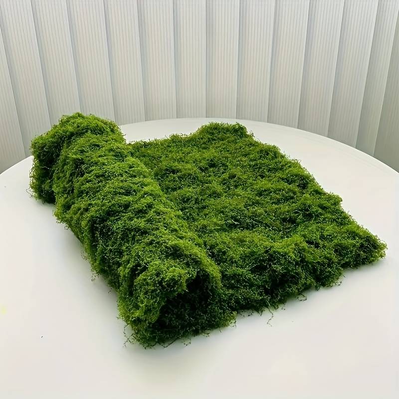 Tapis de fausse mousse 20' x 2 - Preserved Moss Sheet avis et prix