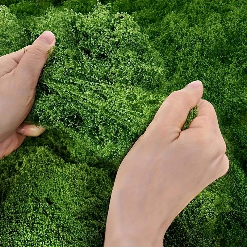 Tapis de fausse mousse 20' x 2 - Preserved Moss Sheet avis et prix