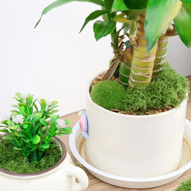 Mousse artificielle réaliste 3 - Preserved Moss Sheet avis et prix