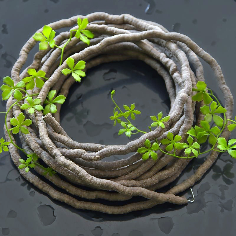Plantes artificielles de lierr - Preserved Moss Sheet avis et prix