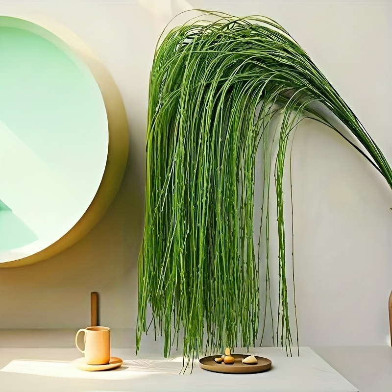 Vignes artificielles suspendue - Preserved Moss Sheet avis et prix