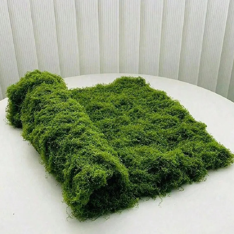 Mousse artificielle pour la dé - Preserved Moss Sheet avis et prix