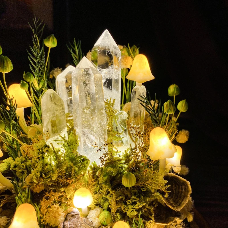 Lampe de nuit en forme de cham - Preserved Moss Sheet avis et prix