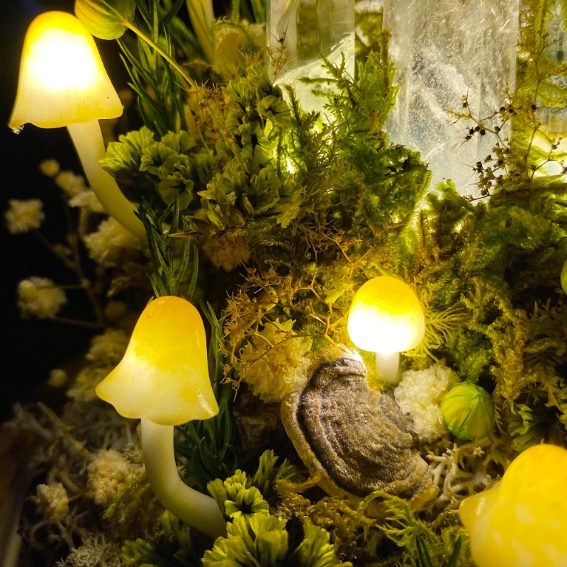 Lampe de nuit en forme de cham - Preserved Moss Sheet avis et prix